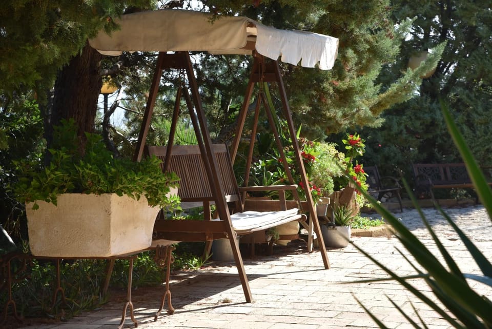Patio, Spring, Day, Garden, Garden view