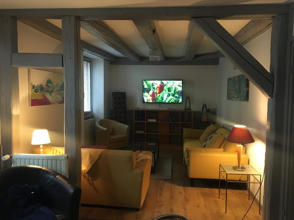 La Grenouillère Apartment in Colmar