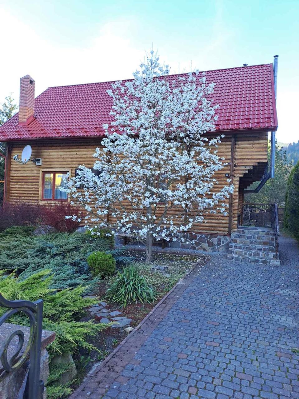 Magnolia House in Ukraine