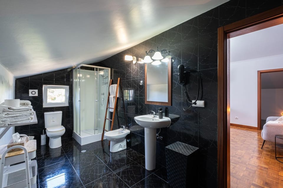 Shower, Toilet, bidet, towels
