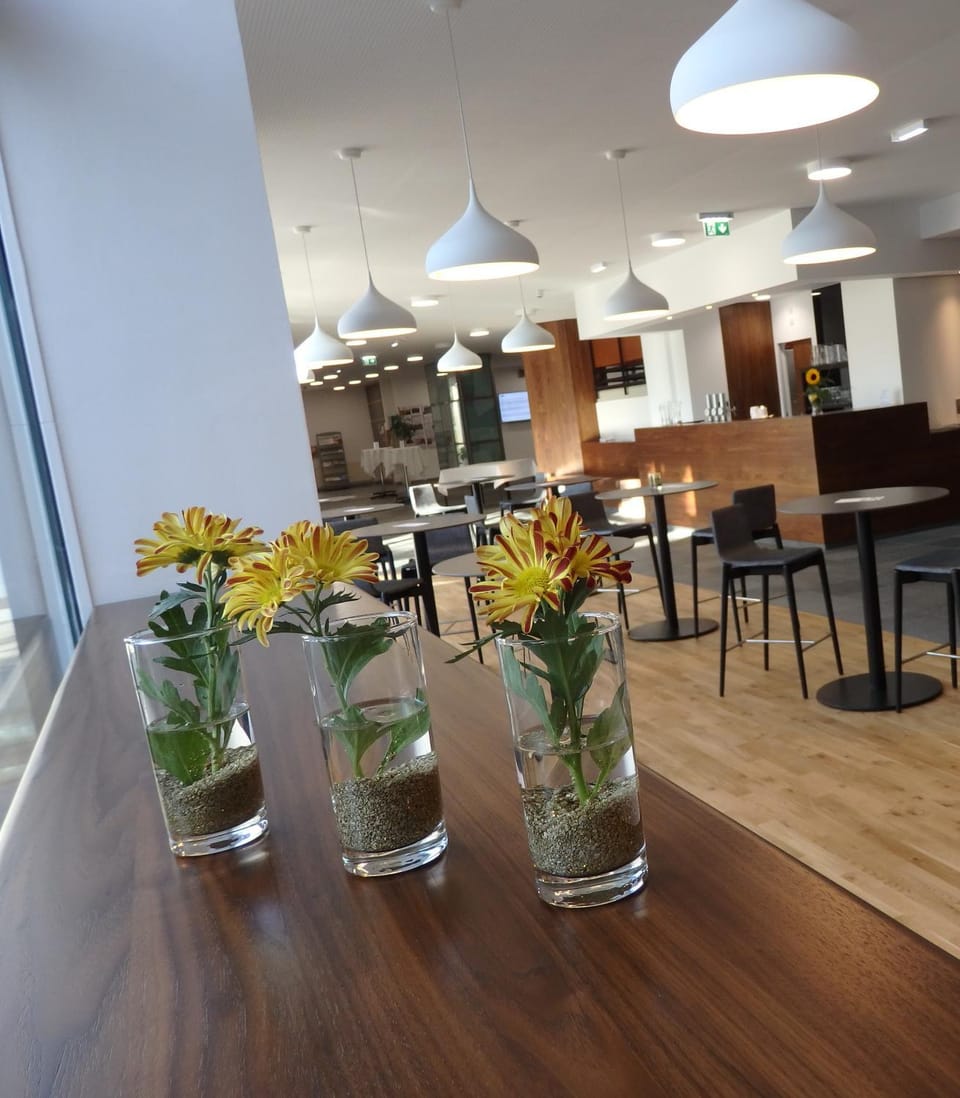 Lounge or bar