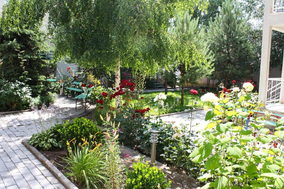 Neighbourhood, Natural landscape, Garden, Garden view, Street view