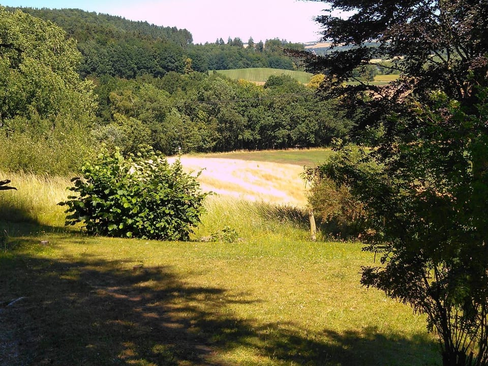 Natural landscape