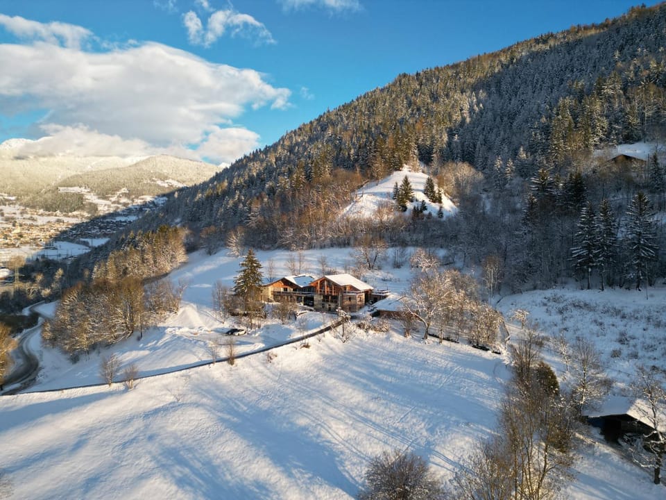 Le Chalet des Eulets Apartment in Bourg-Saint-Maurice