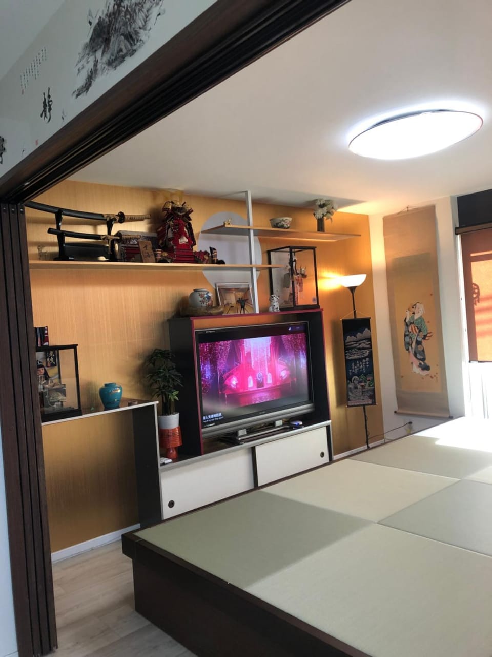 TV and multimedia