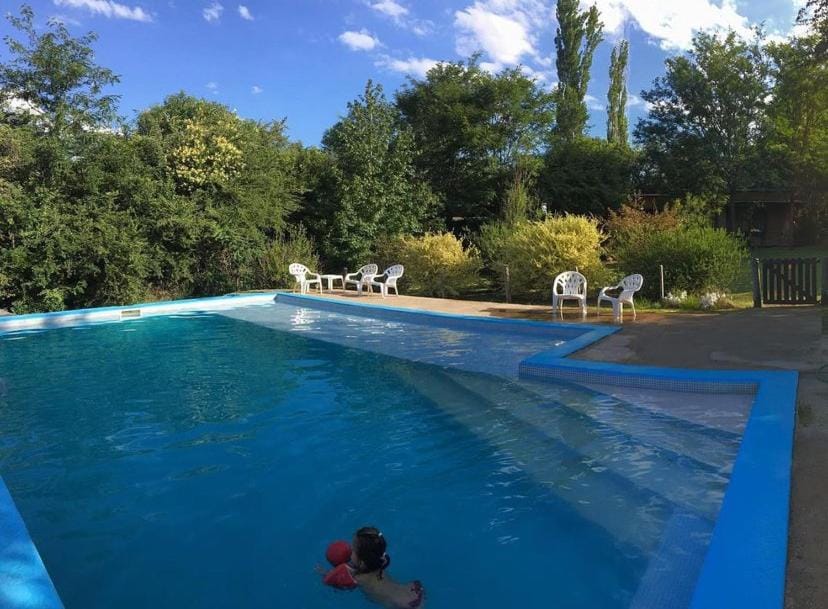 Garden, Garden view, Swimming pool