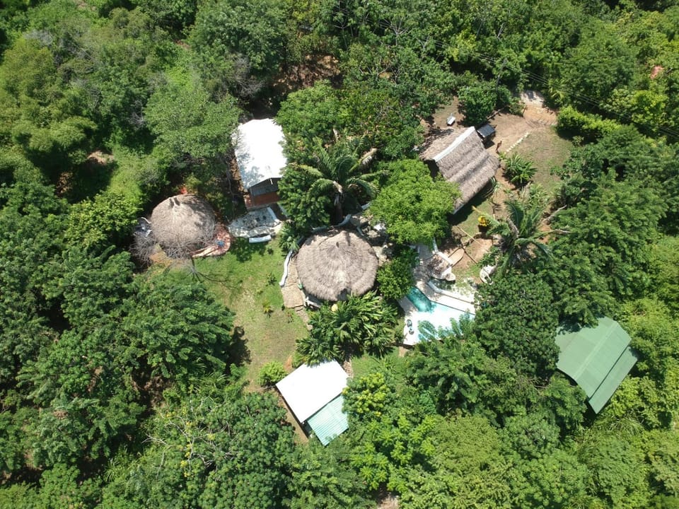 Patio, Garden, Area and facilities