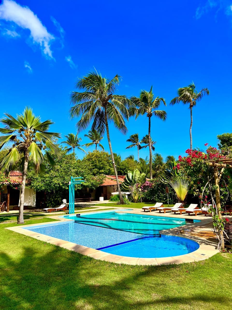 Garden, Swimming pool