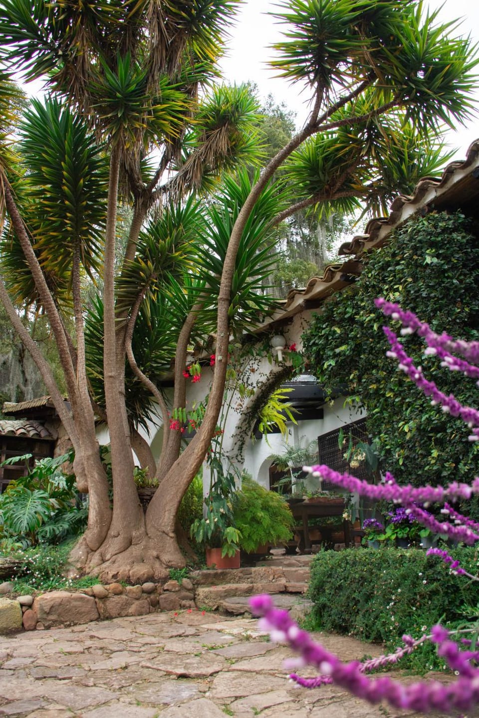 Finca La Mara Country House in Boyaca
