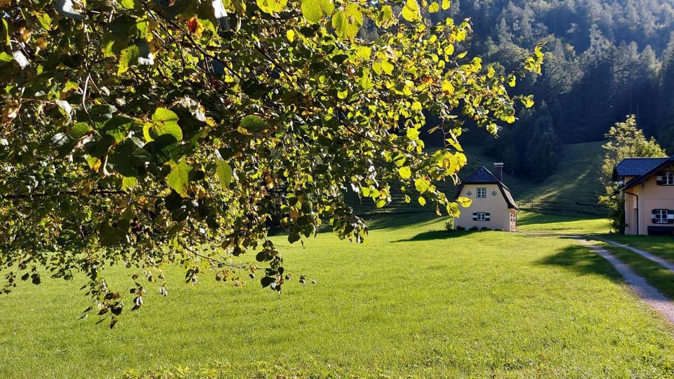 Natural landscape