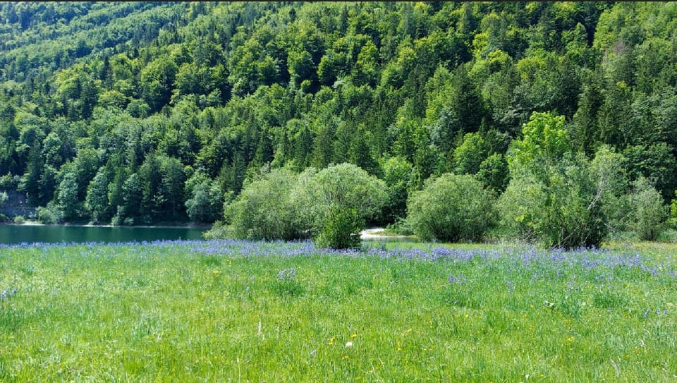 Natural landscape, Lake view
