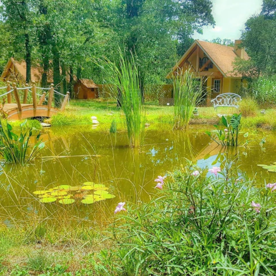 Rarumpelpunzeldornaschenwittchen Bed and Breakfast in Rio Grande