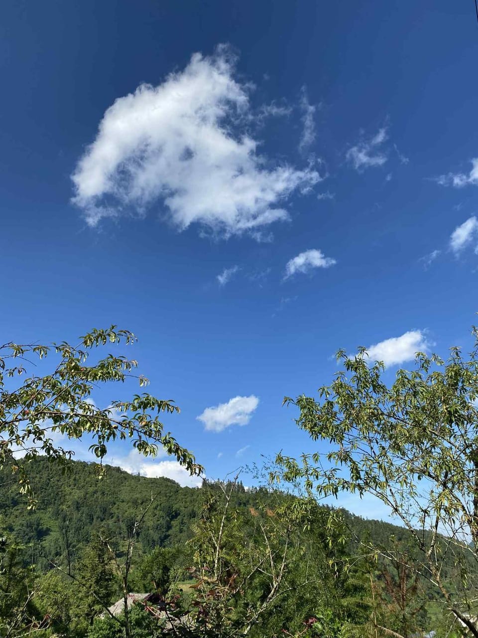 Mountain view