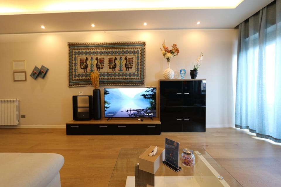 TV and multimedia
