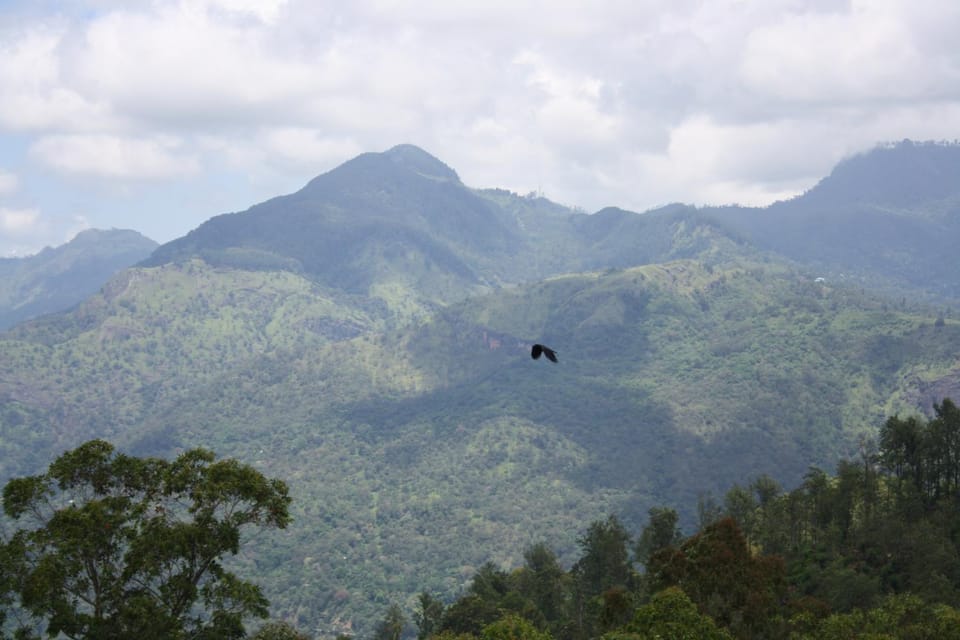 Mountain view