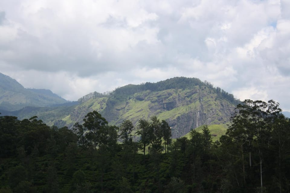 Mountain view