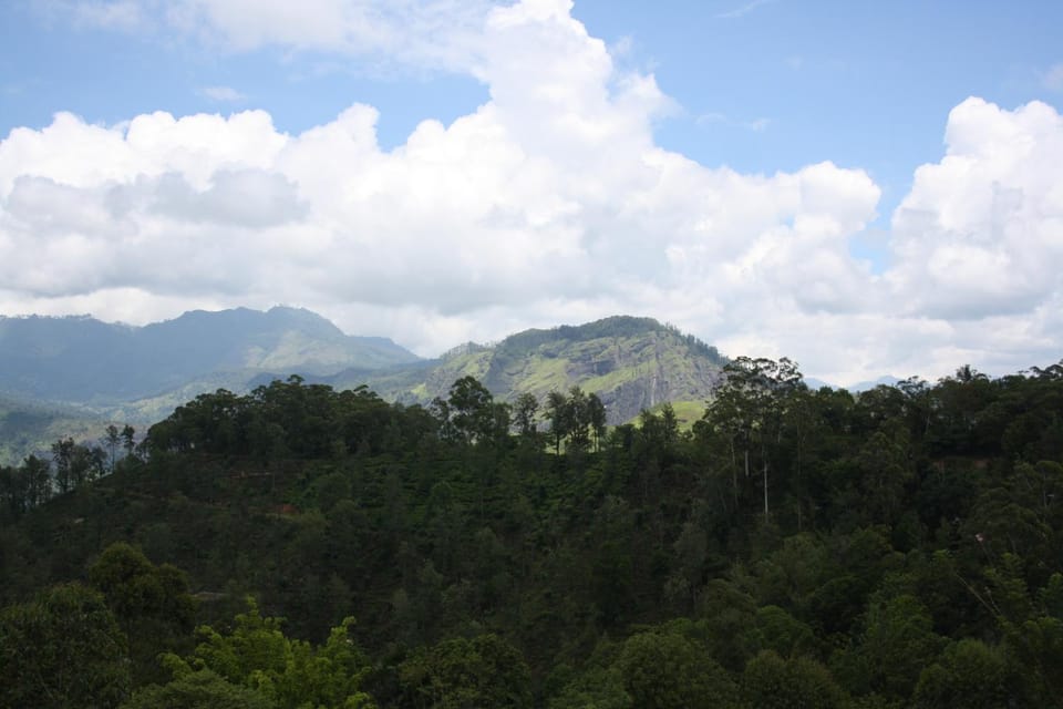 Mountain view
