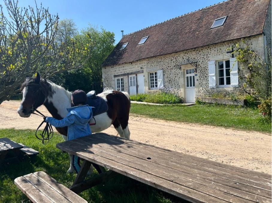 Haras du Chêne Farm Stay in Normandy