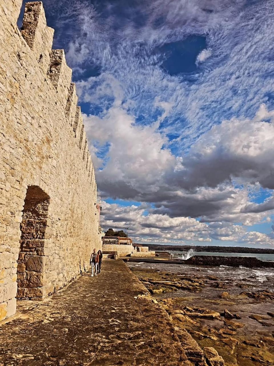 The Green house - 20m from the beach Apartment in Novigrad