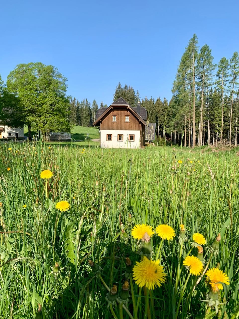 Chalet zur Schmiede Chalet in Carinthia, Austria
