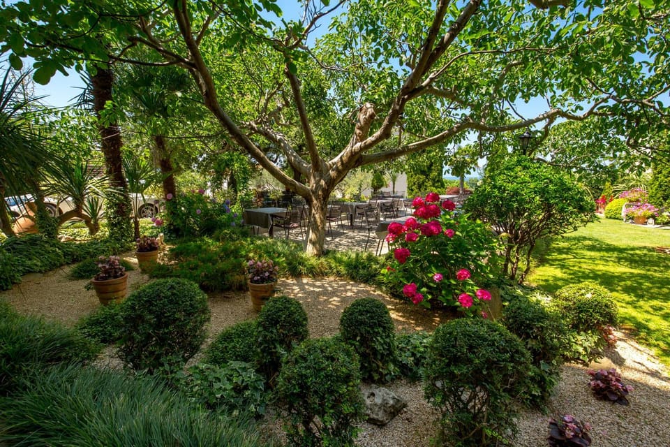 Garden, Balcony/Terrace