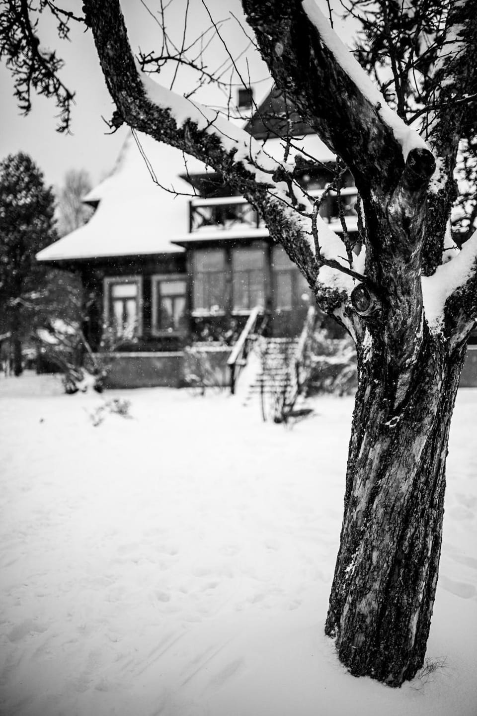 Day, Winter