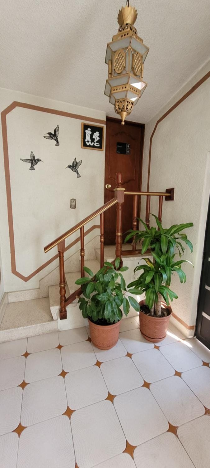Casa Q BnB Bed and Breakfast in Mexico City