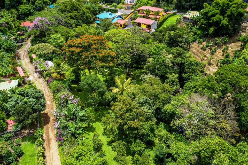 Natural landscape, Bird's eye view