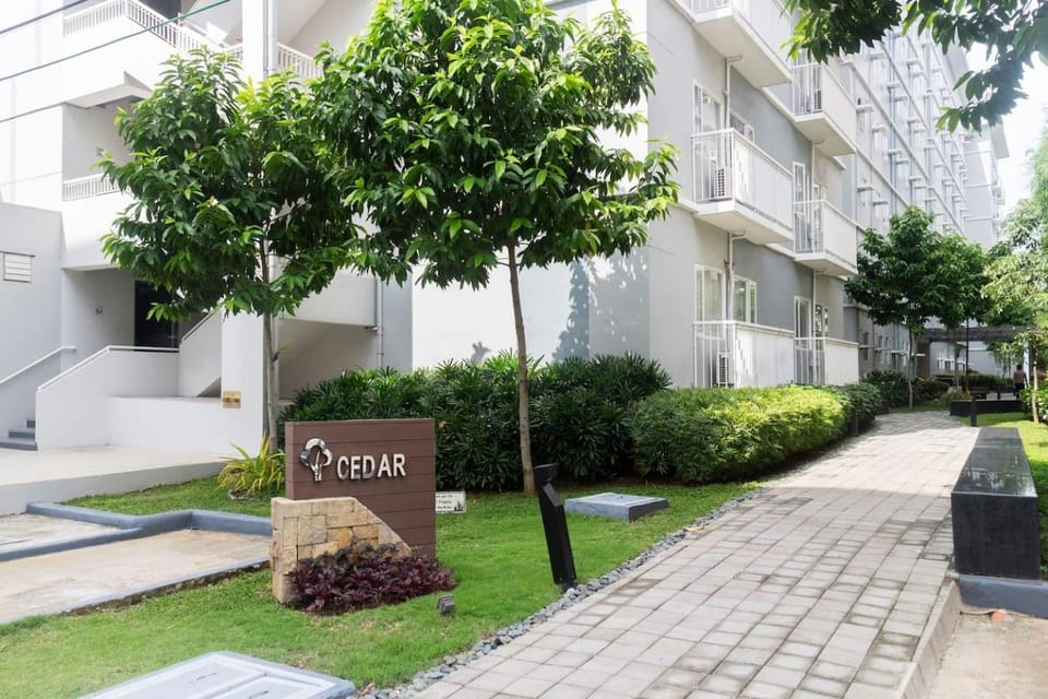 Property building, Patio, Garden
