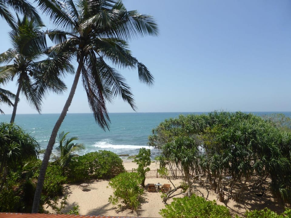 Garden, Sea view