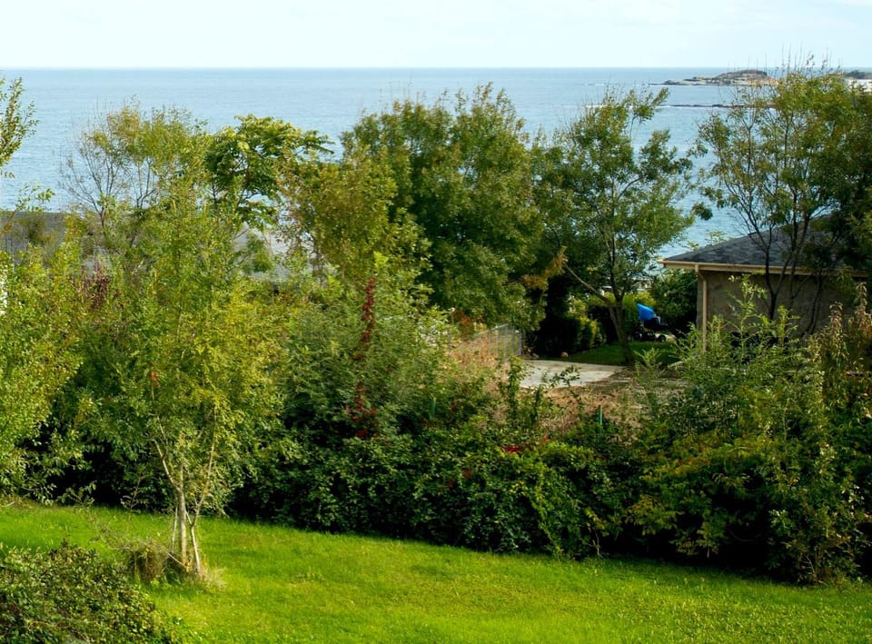 Garden view, Sea view