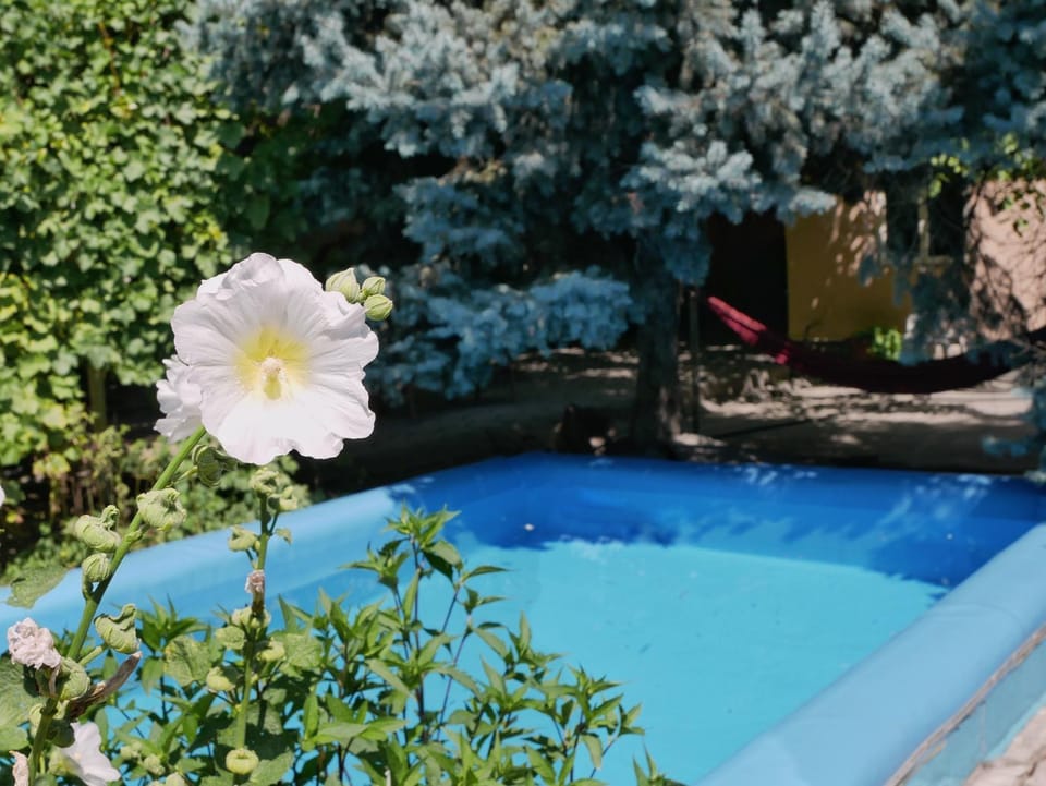 Sakura Guesthouse Bed and Breakfast in Almaty Region, Kazakhstan