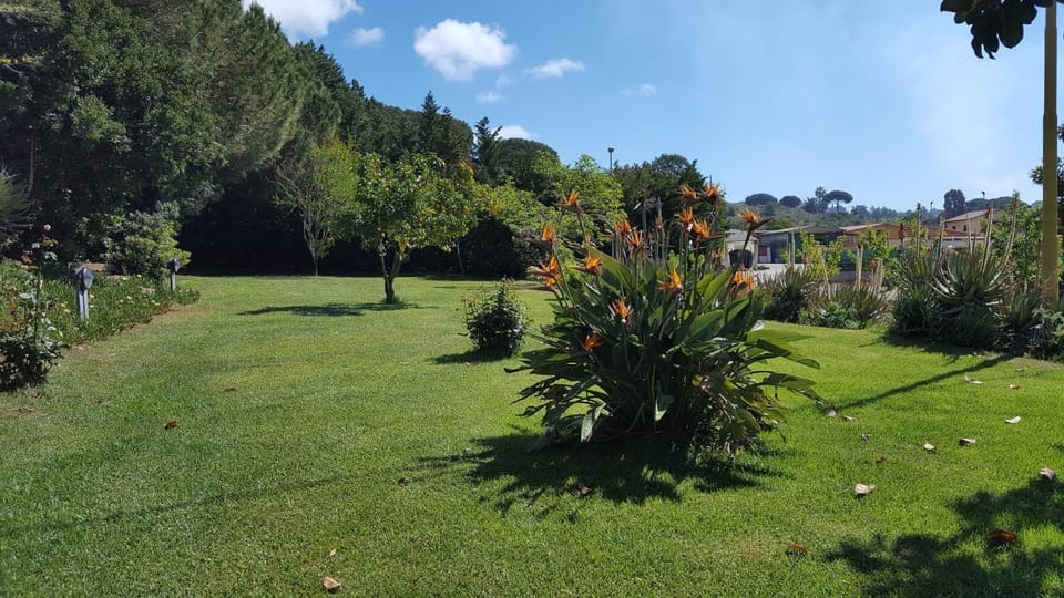Garden, Garden view