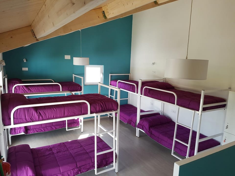 bunk bed