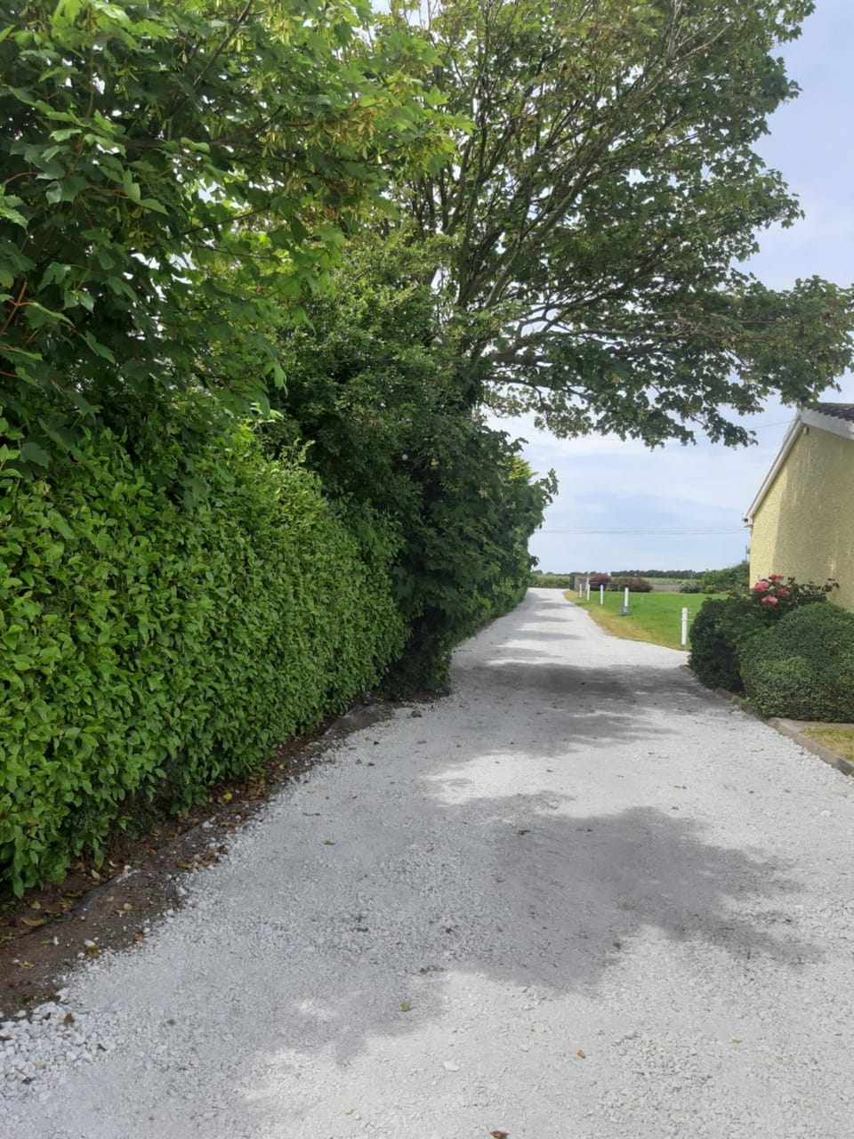 Natural landscape, Garden view