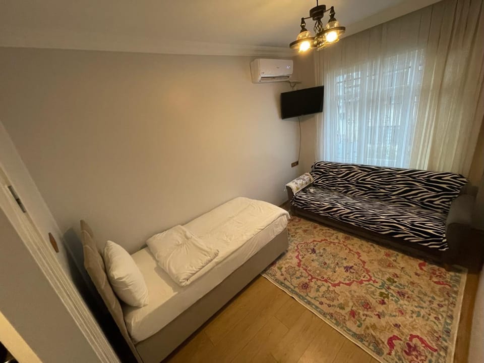Bed, TV and multimedia, Living room, Photo of the whole room, Seating area, Bedroom, air conditioner