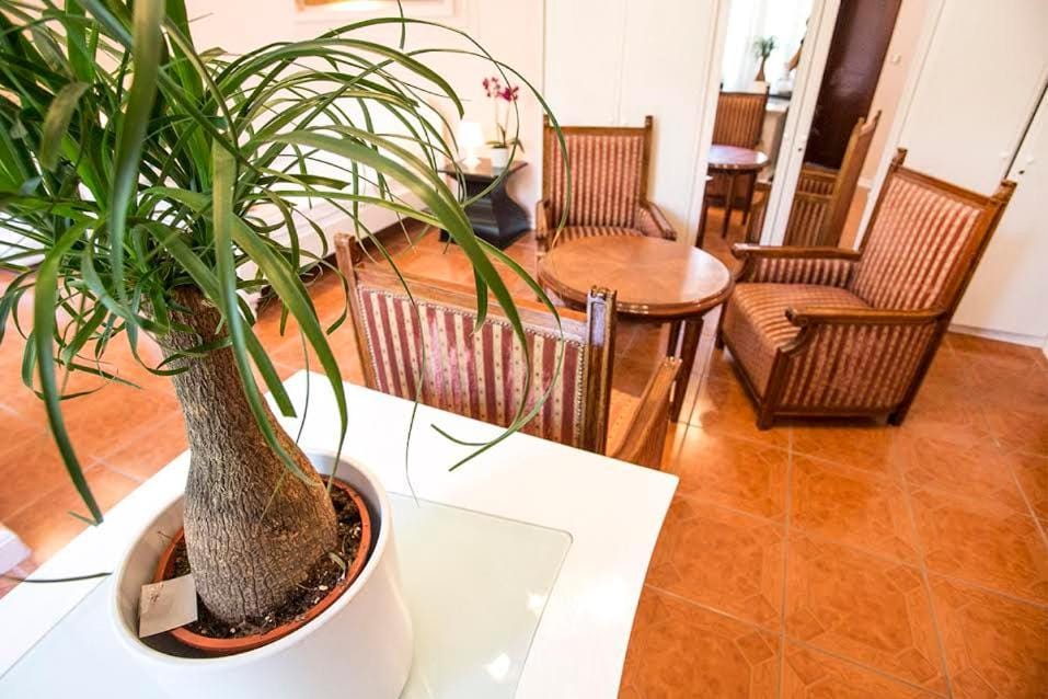Coffee/tea facilities, Living room, Decorative detail, Seating area, Dining area