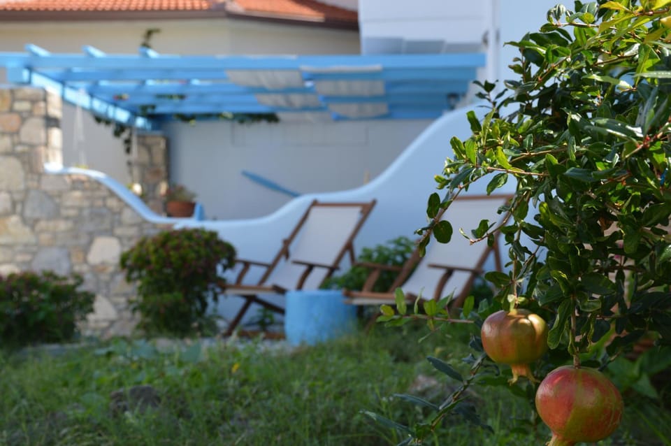 Stella's traditional house. Villa in Sporades, Greece