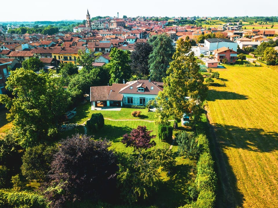 Bird's eye view, Solarium, City view, Garden view