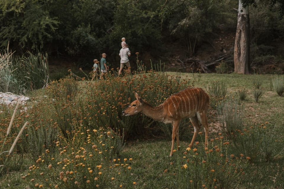 View (from property/room), children