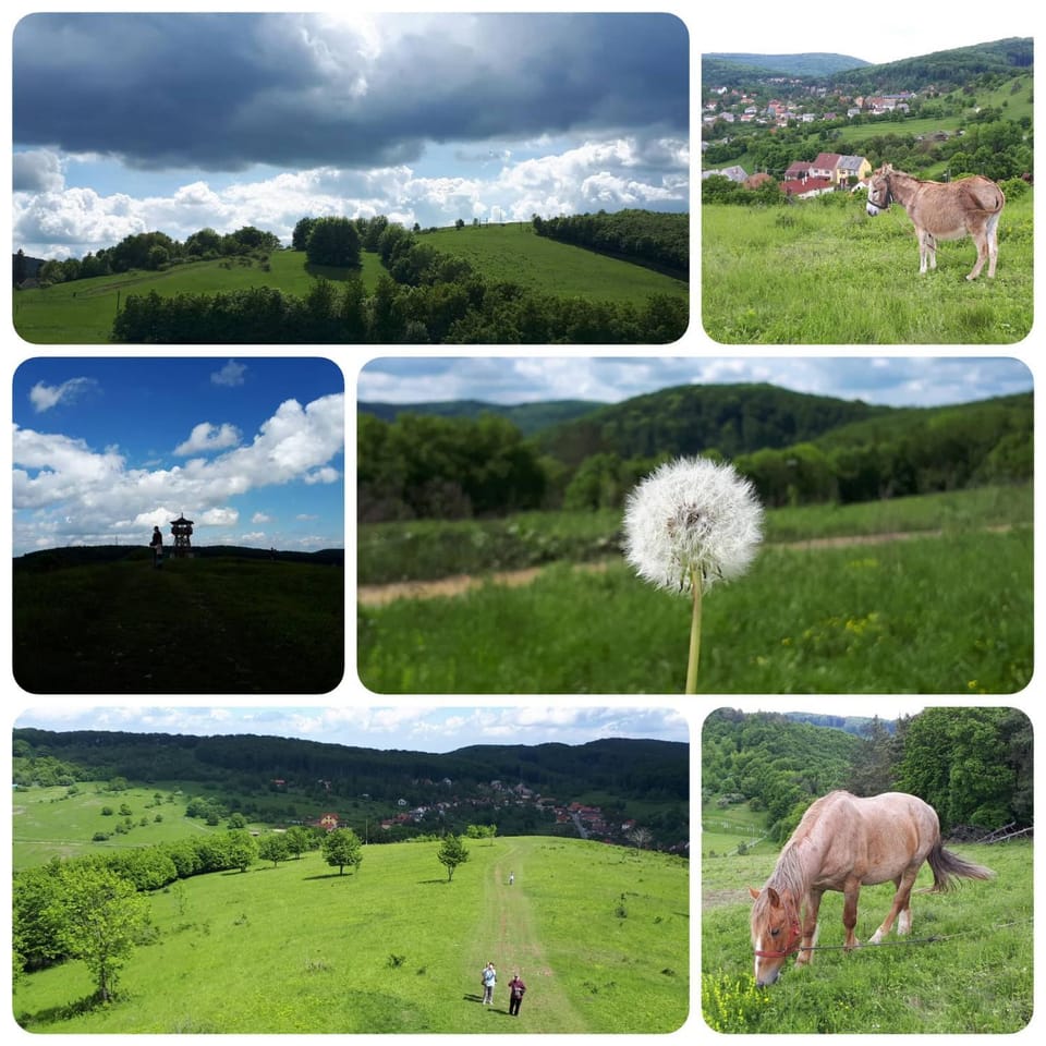 Kékfestő Vendégház Bed and Breakfast in Slovakia