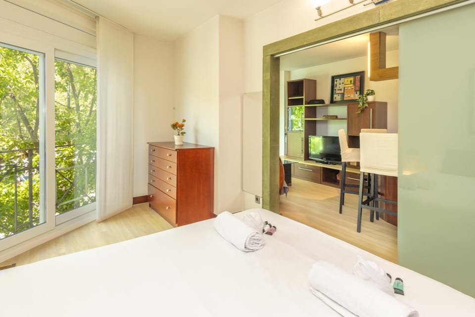Girona centro con encanto y luz Apartment in Girona