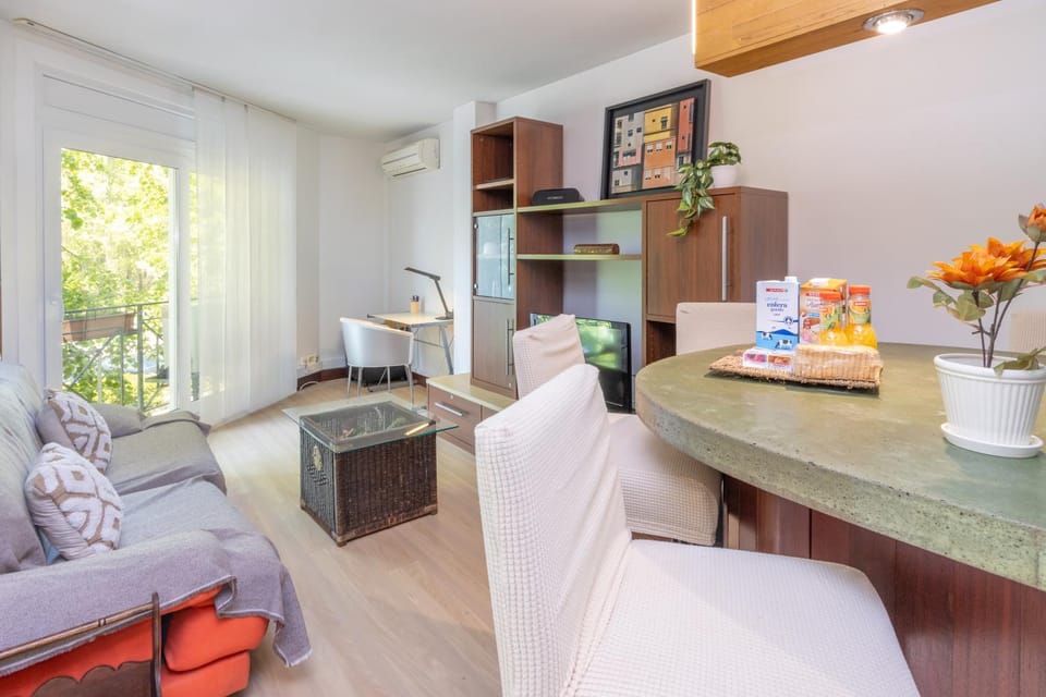 Girona centro con encanto y luz Apartment in Girona