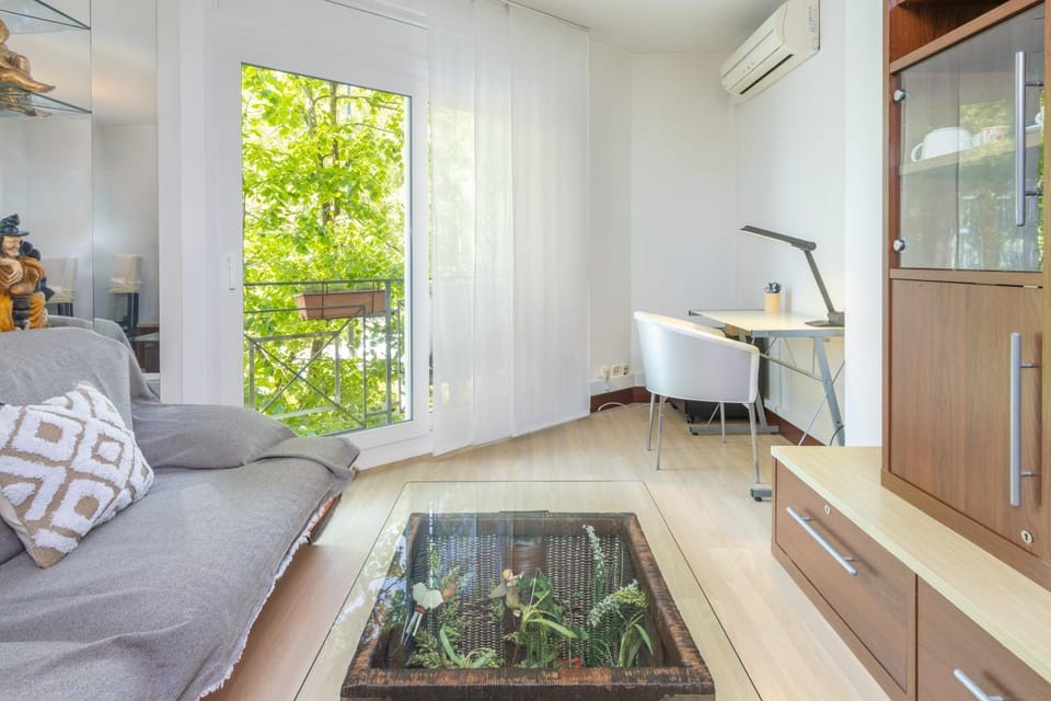 Girona centro con encanto y luz Apartment in Girona
