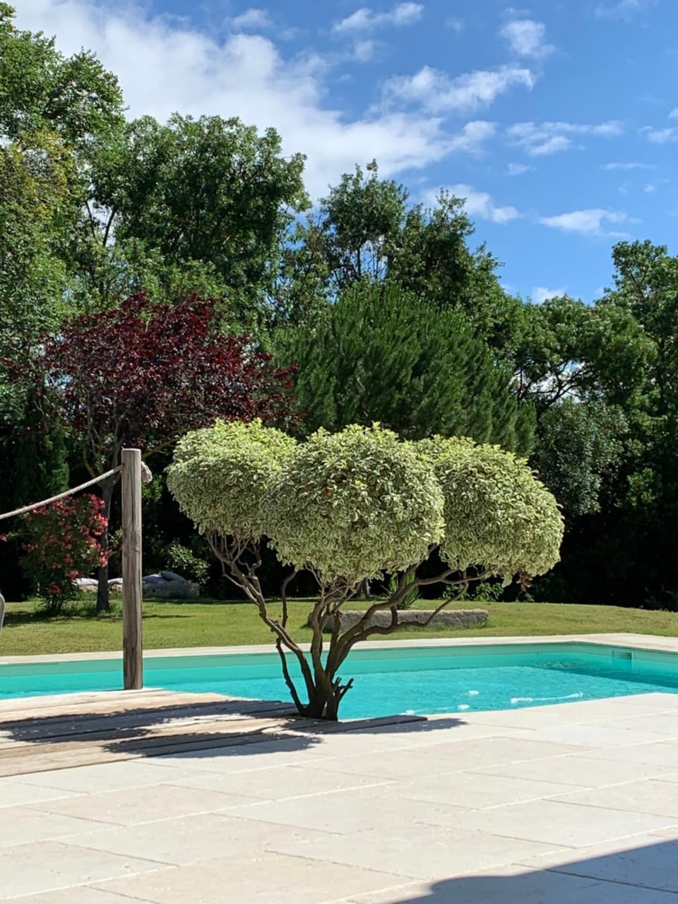 Patio, Garden, Balcony/Terrace, Pool view, Swimming pool, Swimming pool