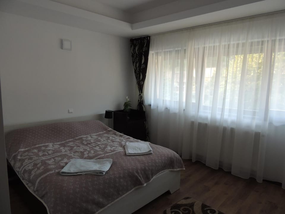 Pensiunea Steaua Nordului Bed and Breakfast in Cluj County