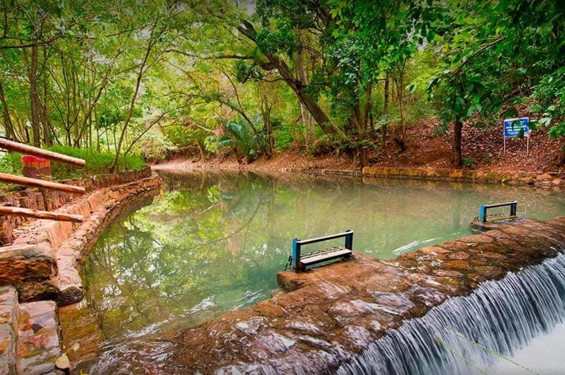 Natural landscape, Garden, Lake view