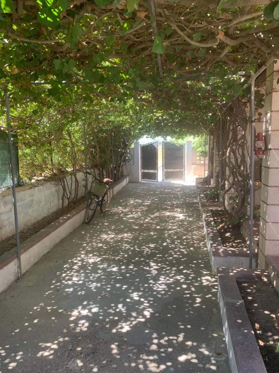 L'Edera House in Sicily