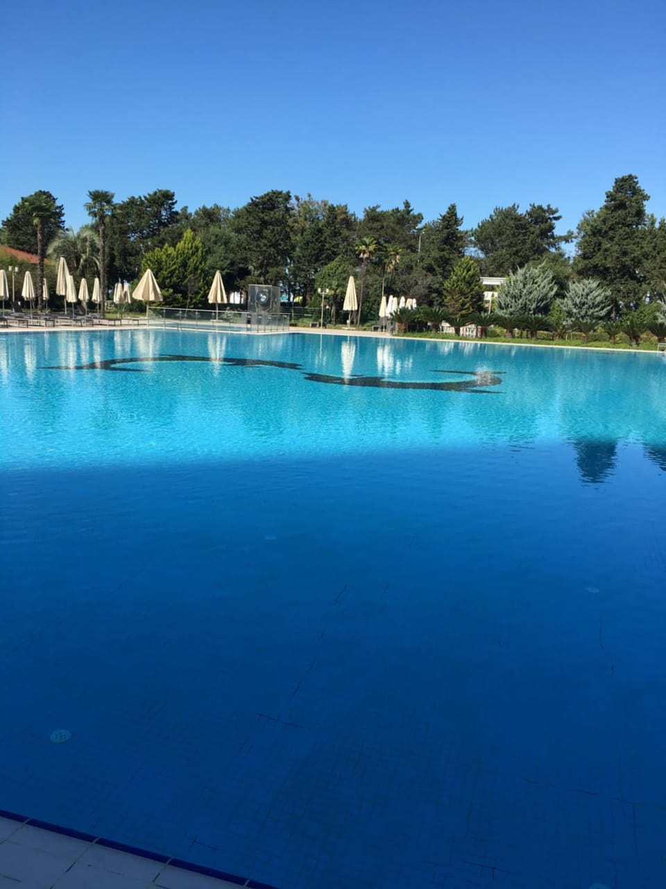 Activities, Pool view, Swimming pool