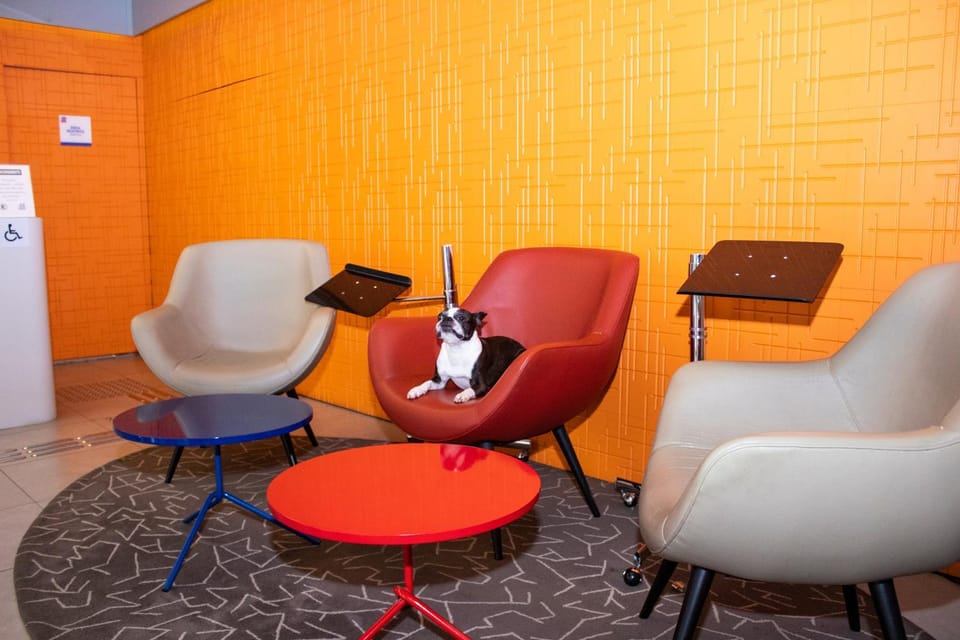 Lobby or reception, Pets